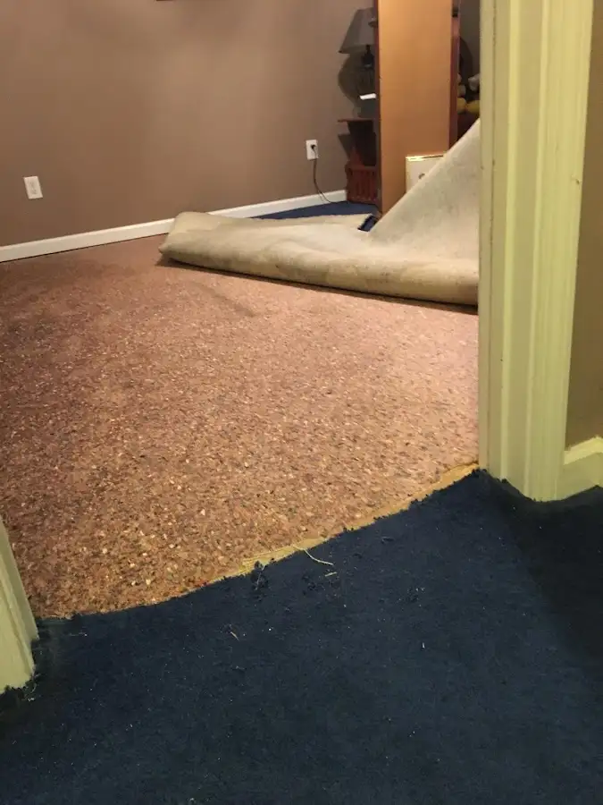 Carpet pad removal revealing water damage during Water Mitigation Services in Fenton