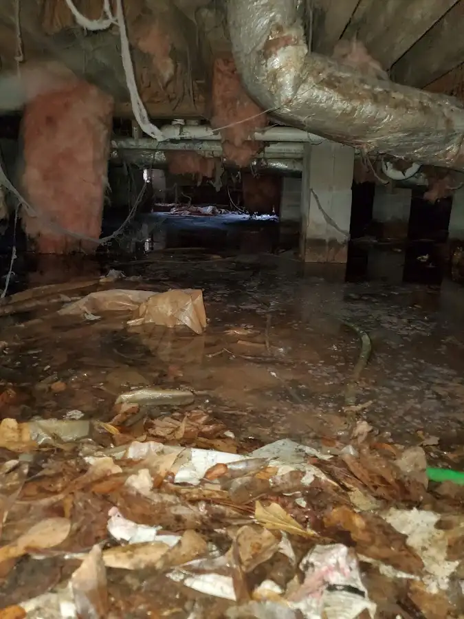 Crawl space flood assessment for Leak Detection & Repair in Fenton