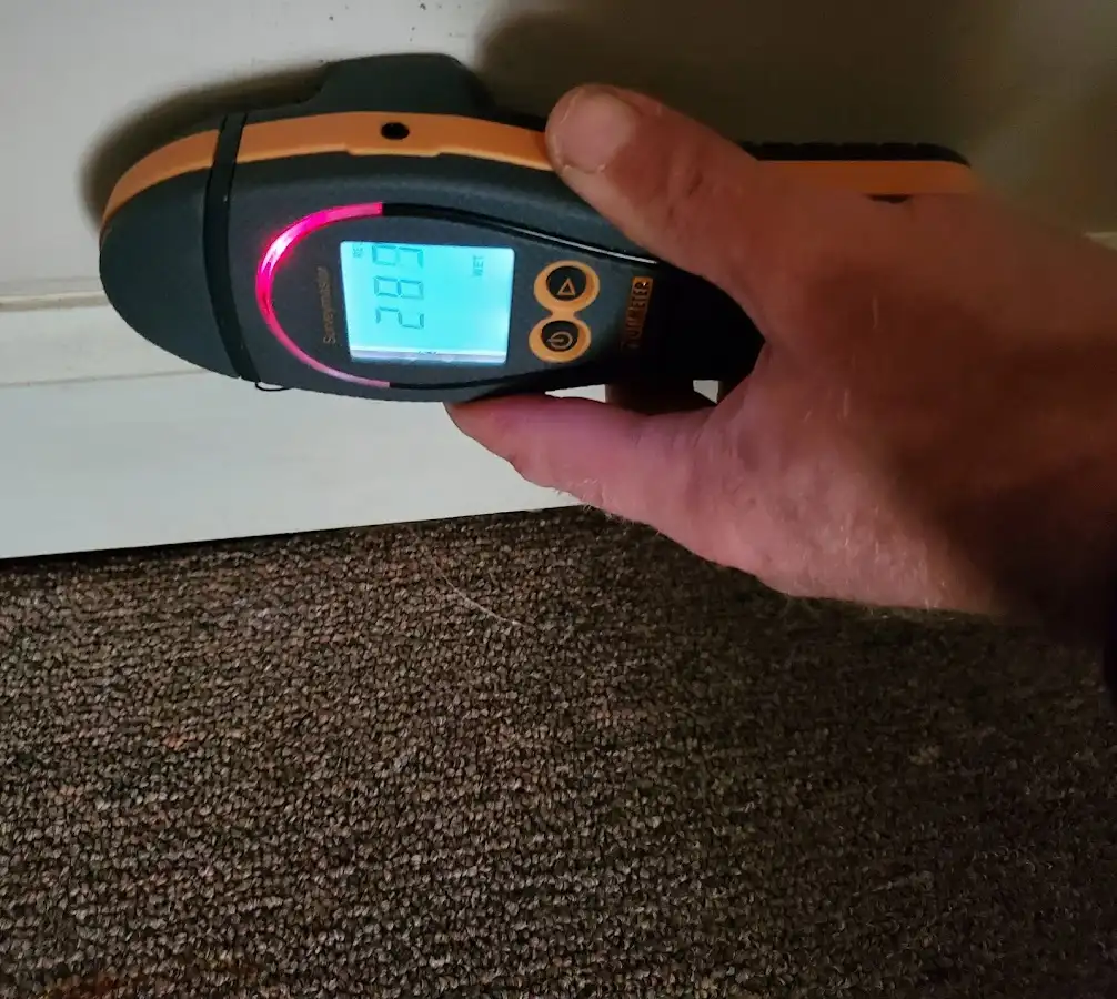 Moisture detection at baseboard during Burst Pipe Cleanup in Fenton